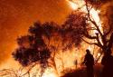The wildfire in California is unbearable
